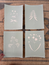 Load image into Gallery viewer, 11.25” x 15” botanicals on seafoam, a set of 4