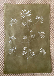 20”x30” on paper - “Vintage Vine”
